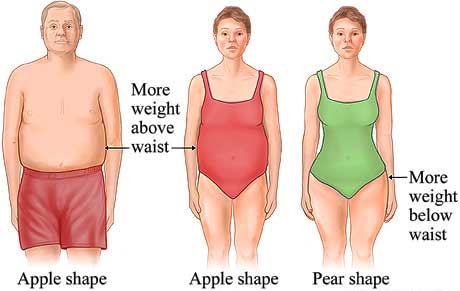 Belly fat and body shape