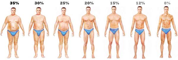 Different Body Fat Percentages in Men