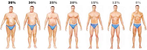 Percentage of Women's Body Fat - A Guide to Individuality