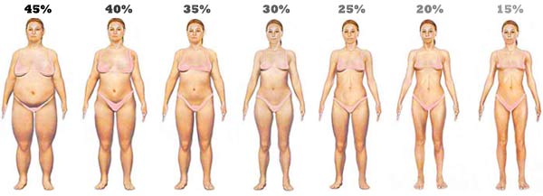 Different Body Fat Percentages in Women