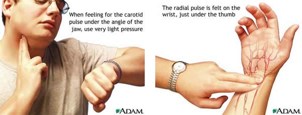 heart rate calculator instructions