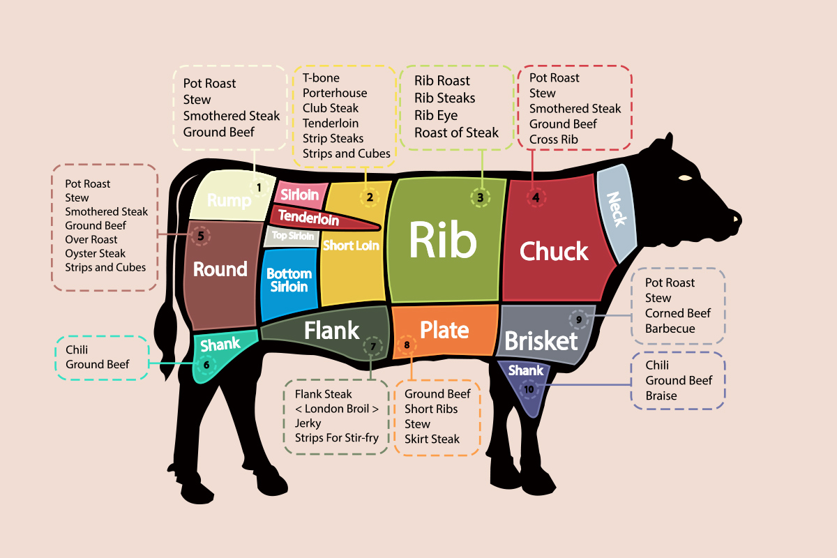 Cuts Of Beef Nutrition 4838