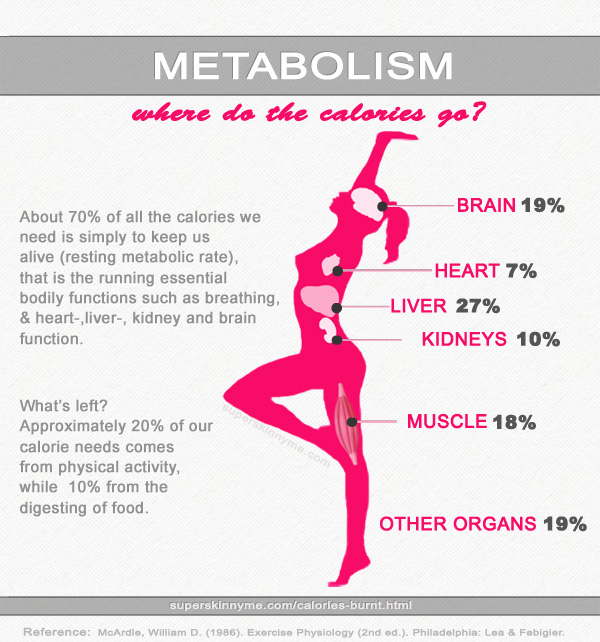 How you burn calories