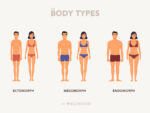 The 3 Body Types: Ectomorph, Mesomorph, Endomorph