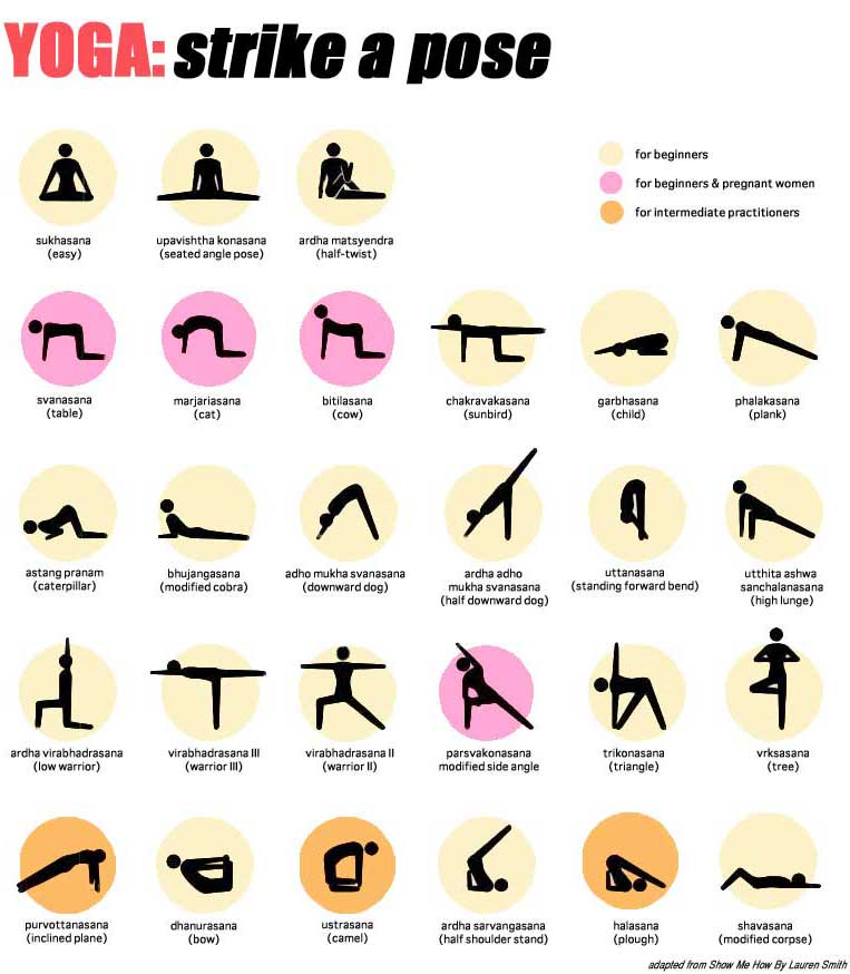 Yoga poses for beginners