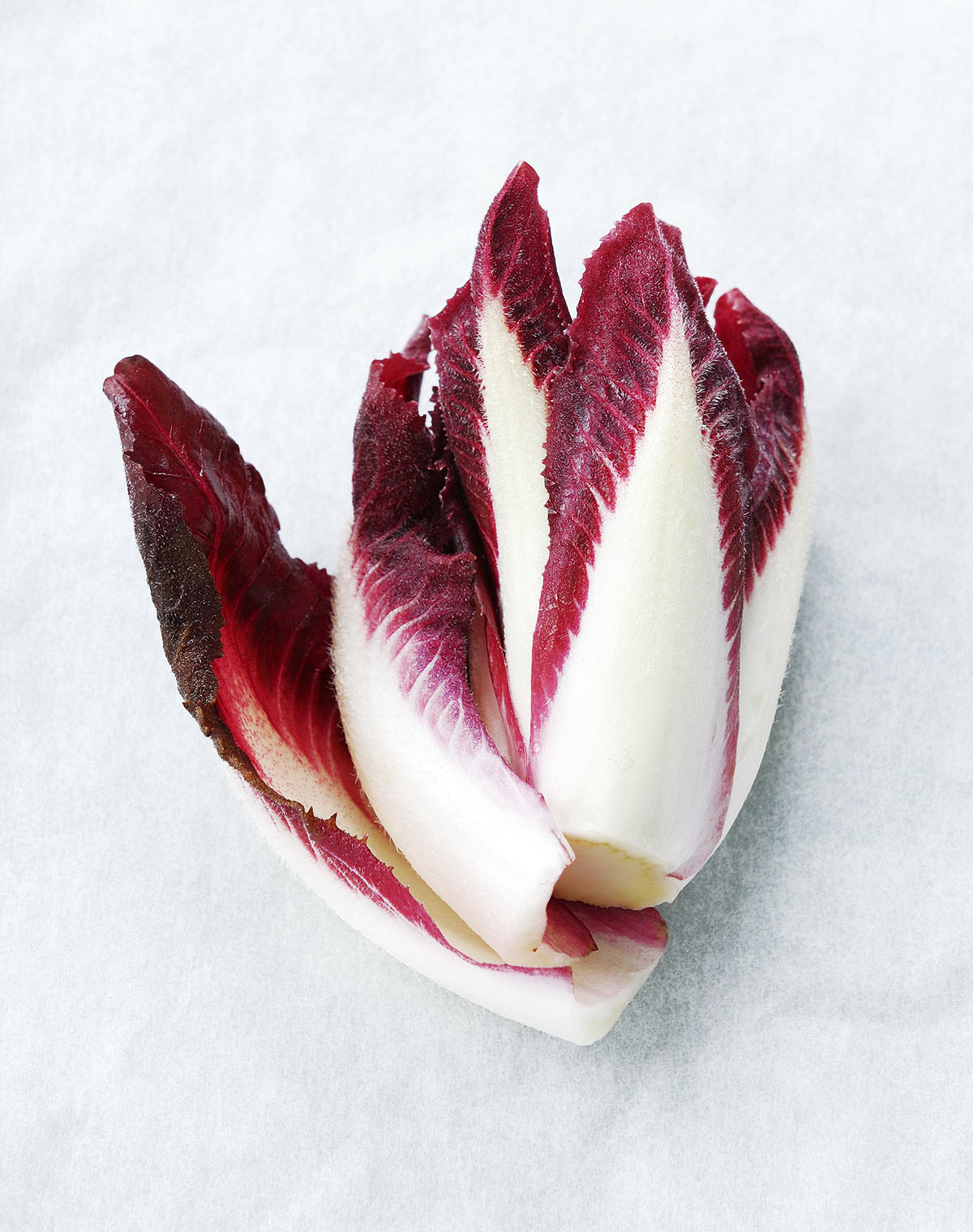 endive-how-to-use-prep-store-endive-recipes-health-benefits