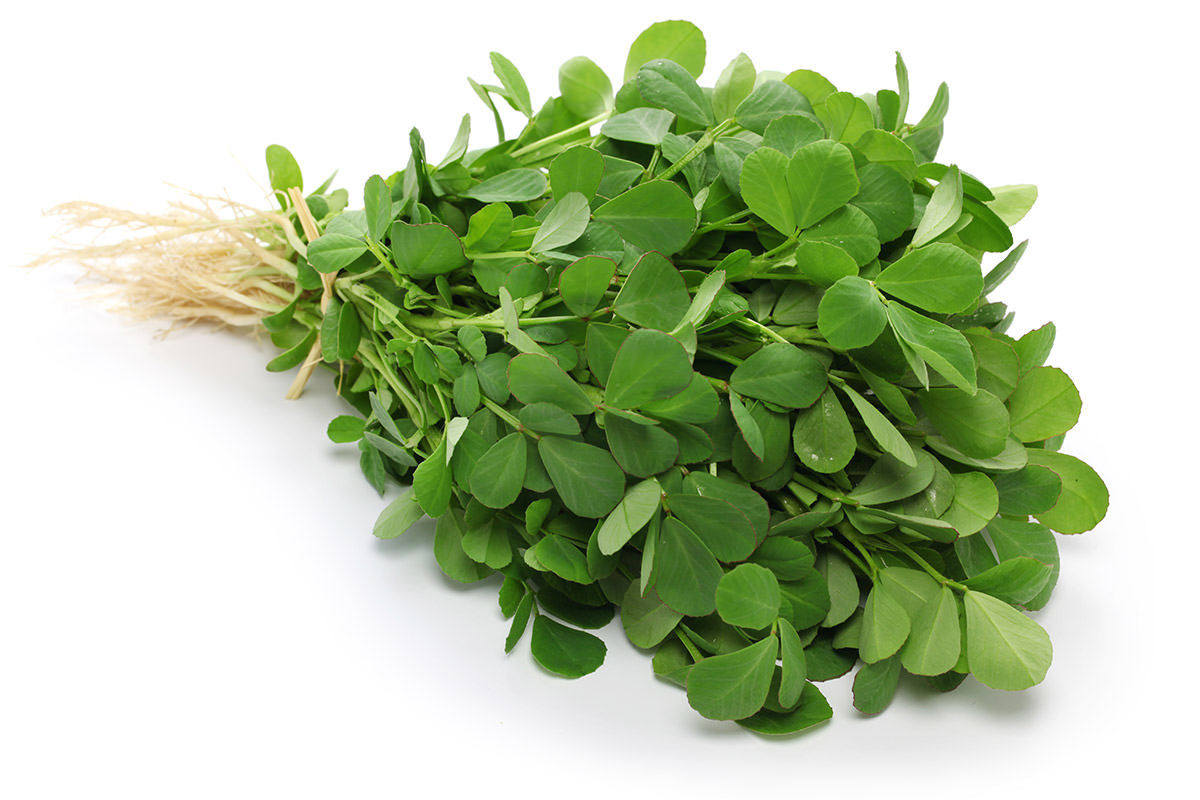 Fenugreek How to Use, Cook & Store Nutrition + Health Benefits