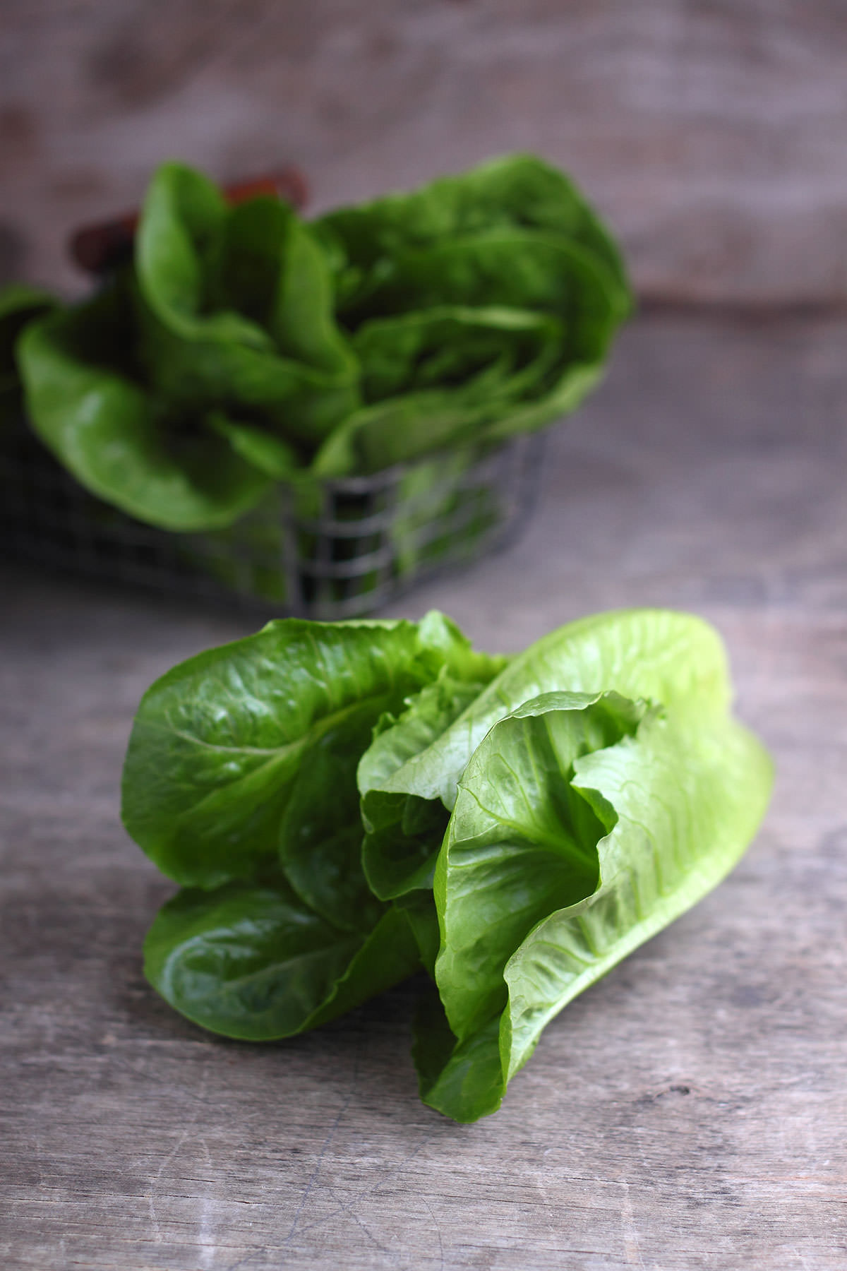 Romaine Lettuce How to Use, Prep & Store Recipes + Health Benefits