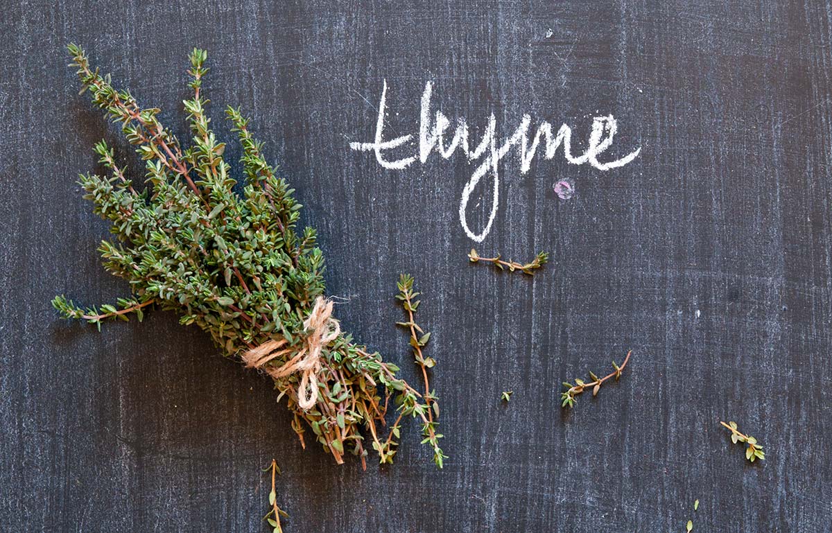Thyme How to Use, Cook & Store Thyme Nutrition + Health Benefits
