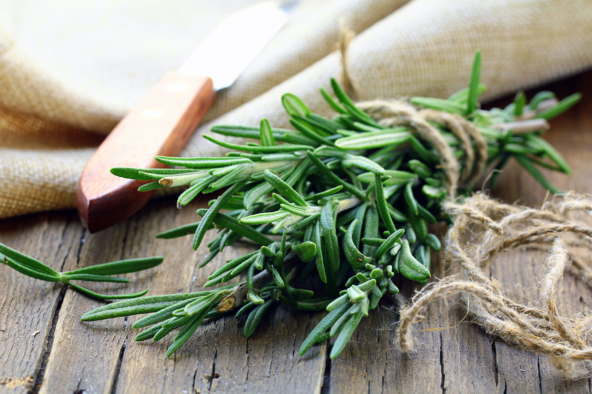 Rosemary How to Use, Cook & Store Nutrition + Health Benefits