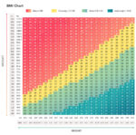 BMI Calculator | Calculate Your Body Mass Index