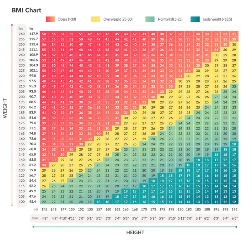 BMI Calculator | Calculate Your Body Mass Index