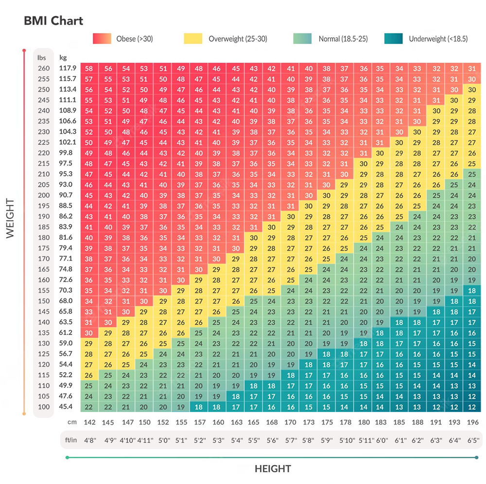 bmi calculator women small frame