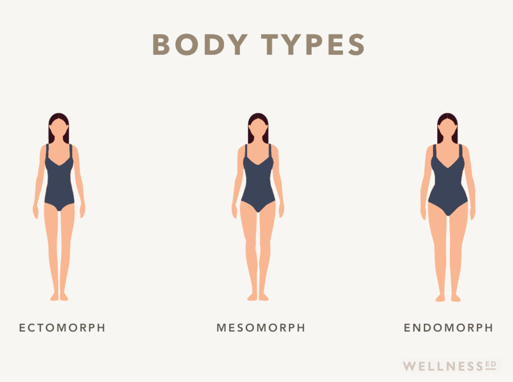 Chart of the 3 body types